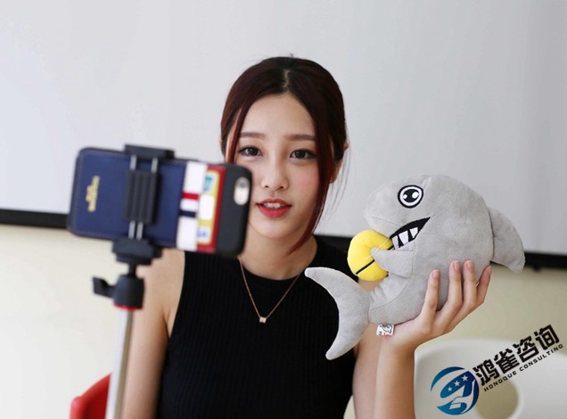 北京文網文經營許可證代辦費用多少錢？