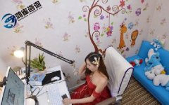 網絡文化經營許可證可以經營哪些業務？